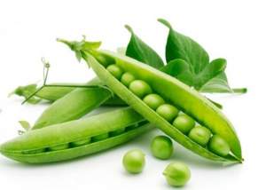 Горох Эдди F1 25 кг.  (Hazera)