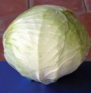 Капуста Фундаксы F1/Fundaxy  2 500 семян. (Seminis)