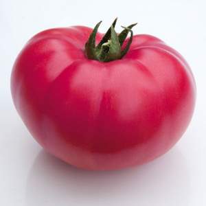 Томат Кассаморы F1/ Kasamori  100 семян. (Kitano)s)