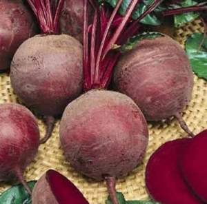 Свекла Водан/Wodan F1 2 500 (bp*) семян. (Bejo)
