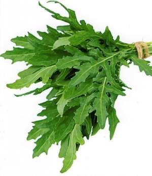 Рукола Летиция / Letizia 10 000 семян. (Enza Zaden)