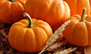 Семена гарбуза Вест 500 семян. (Lark Seesd)