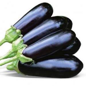 Баклажан Норвал F1, 1 000 семян. (Lark Seesd)