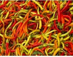 Перец остр. Спираль F1 500 семян. (Lark Seesd)