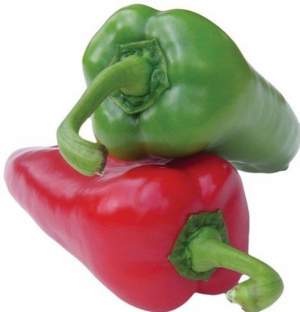 Перец Магус F1 500 семян. (Lark Seeds)