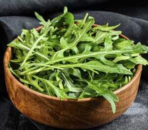 Рукола Грация драже 5000 семян. (Enza Zaden)