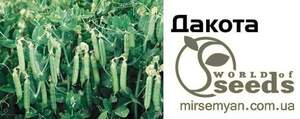 Горох овочевий Дакота 100 000 нас. (Syngenta) Горох овочевий Дакота 100 000 нас. (Syngenta)
