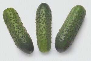 Огірок Огірок