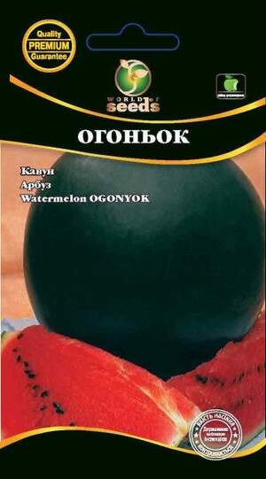 Кавун Кавун