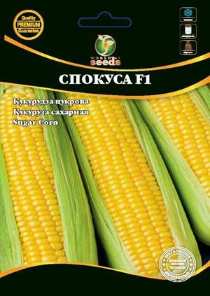 Кукурудза Кукурудза