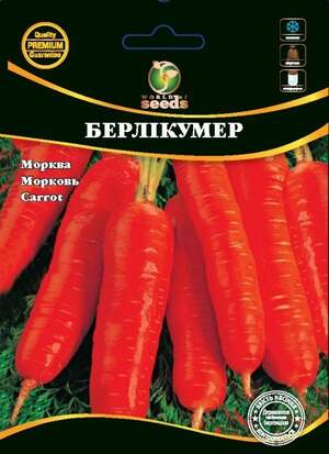 Морква Морква