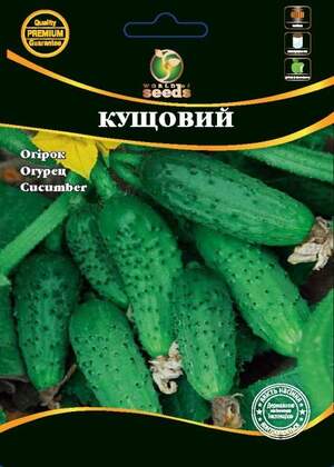 Огірок Огірок