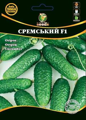 Огірок Огірок
