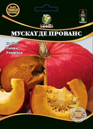 Гарбуз сорт Гарбуз сорт