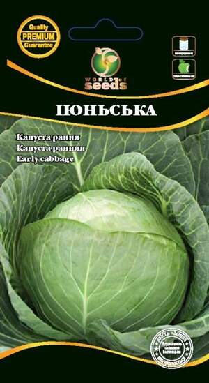 Капуста білокачанна рання Капуста білокачанна рання
