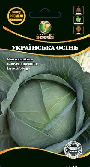 Капуста білокачанна пізня Капуста білокачанна пізня