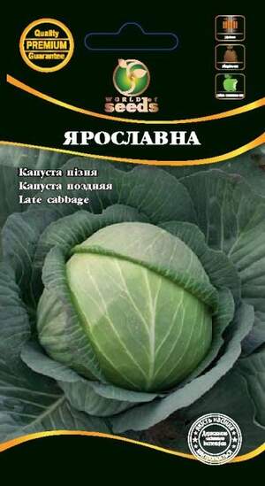 Капуста білокачанна зимова Капуста білокачанна зимова
