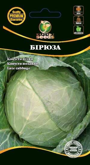 Капуста білокачанна пізня Капуста білокачанна пізня