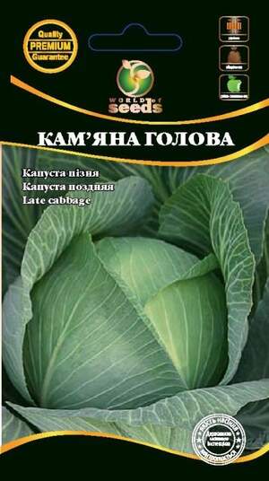 Капуста Капуста