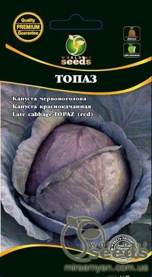Капуста червонокачанна Капуста червонокачанна