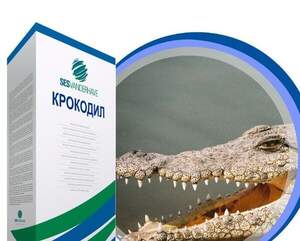 Насіння буряка цукрового Крокодил