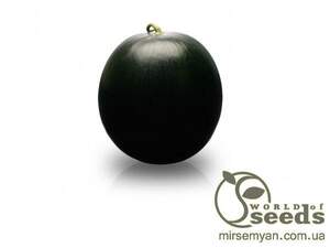 Кавун середньоранній 