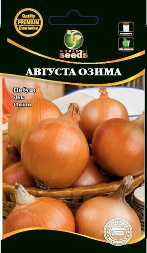 Насіння Лука зимового Насіння Лука зимового