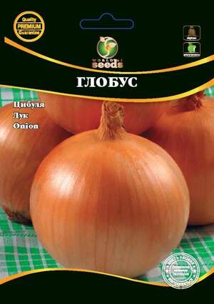 Насіння Лука Насіння Лука