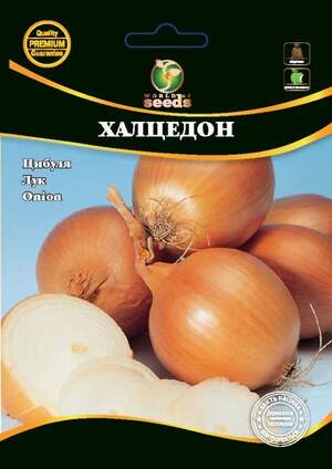 Насіння Лука Насіння Лука