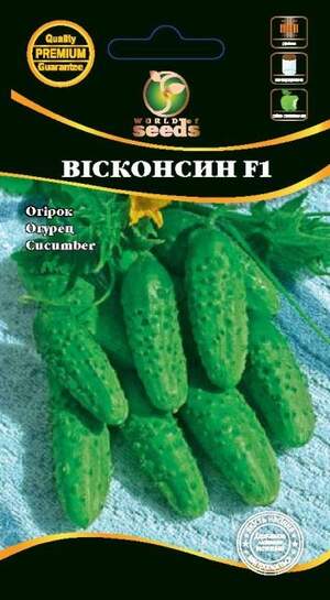 Огірок Огірок