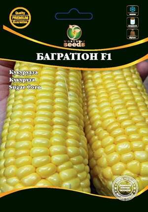 Кукурудза Кукурудза