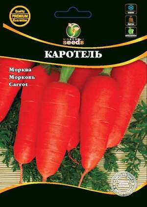 Морква Морква