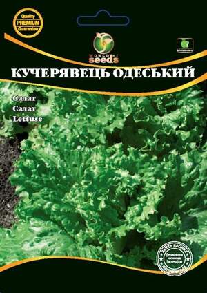 Насіння салату Насіння салату