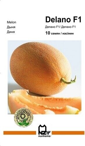 Диня Диня