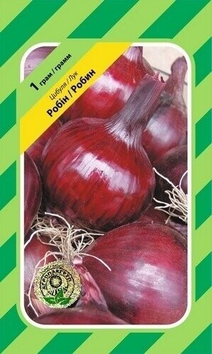 Цибуля Цибуля