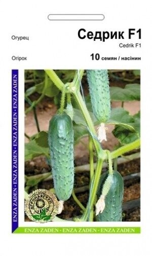 Огірок «Седрік» F1 10 насінин, А Enza Zaden Огірок «Седрік» F1 10 насінин, А Enza Zaden