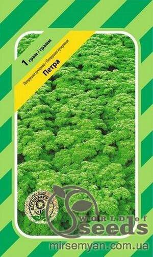 Петрушка кучерява Петрушка кучерява