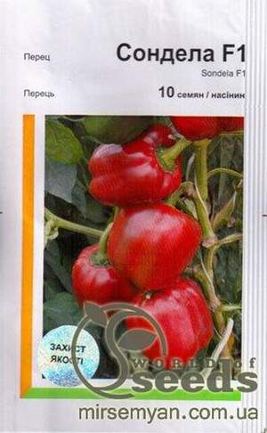 Перець солодкий Перець солодкий