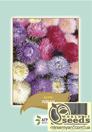 Астра Астра