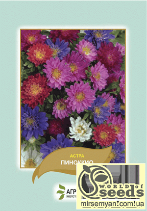 Астра Астра