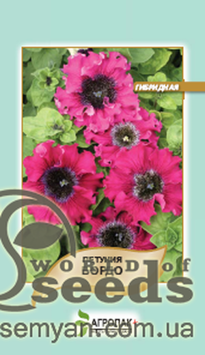 Петунія гібридна чудова Петунія гібридна чудова