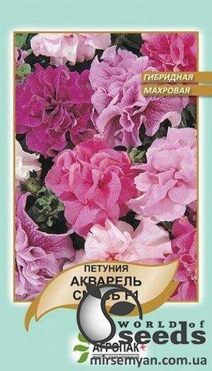 Петунія гібридна махрова Петунія гібридна махрова