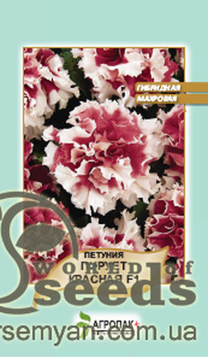 Петунія гібридна махрова Петунія гібридна махрова