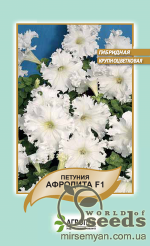 Петунія гібридна великоквіткова, бахромчаста, низькоросла Петунія гібридна великоквіткова, бахромчаста, низькоросла