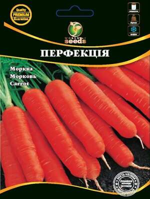 Насіння Моркви Насіння Моркви