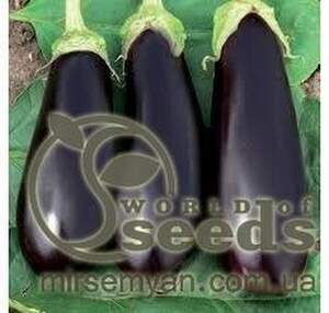 Баклажан 