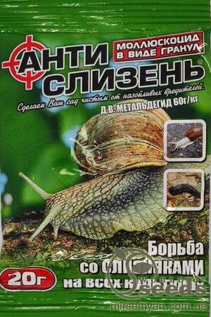 Фунгіцид Фунгіцид