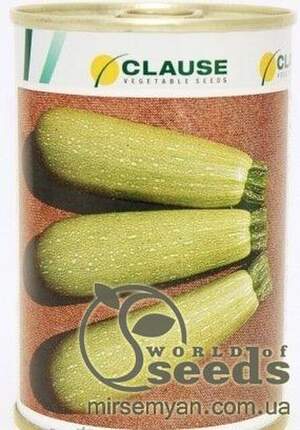 Кабачок Кабачок