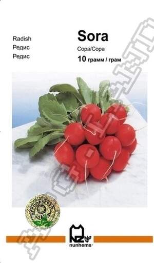 Редис Сміття - 10 г А (Nunhems)