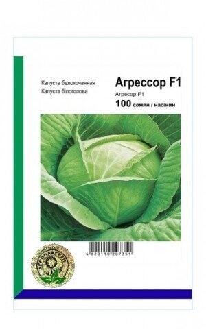 Капуста Агресор F1 - 100н. А (Syngenta) Капуста Агресор F1 - 100н. А (Syngenta)